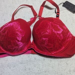 City Chic Red Pink Lace Underwire Bra 42D NWT Floral Mesh Sexy